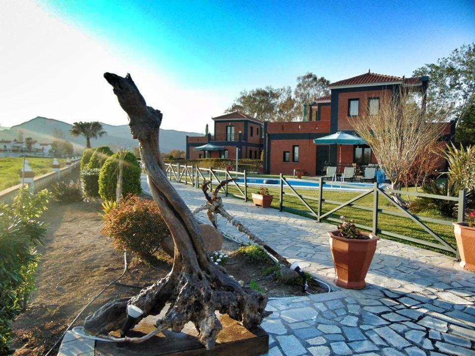 Kalloni Beach Villas スカラ・カロニス エクステリア 写真